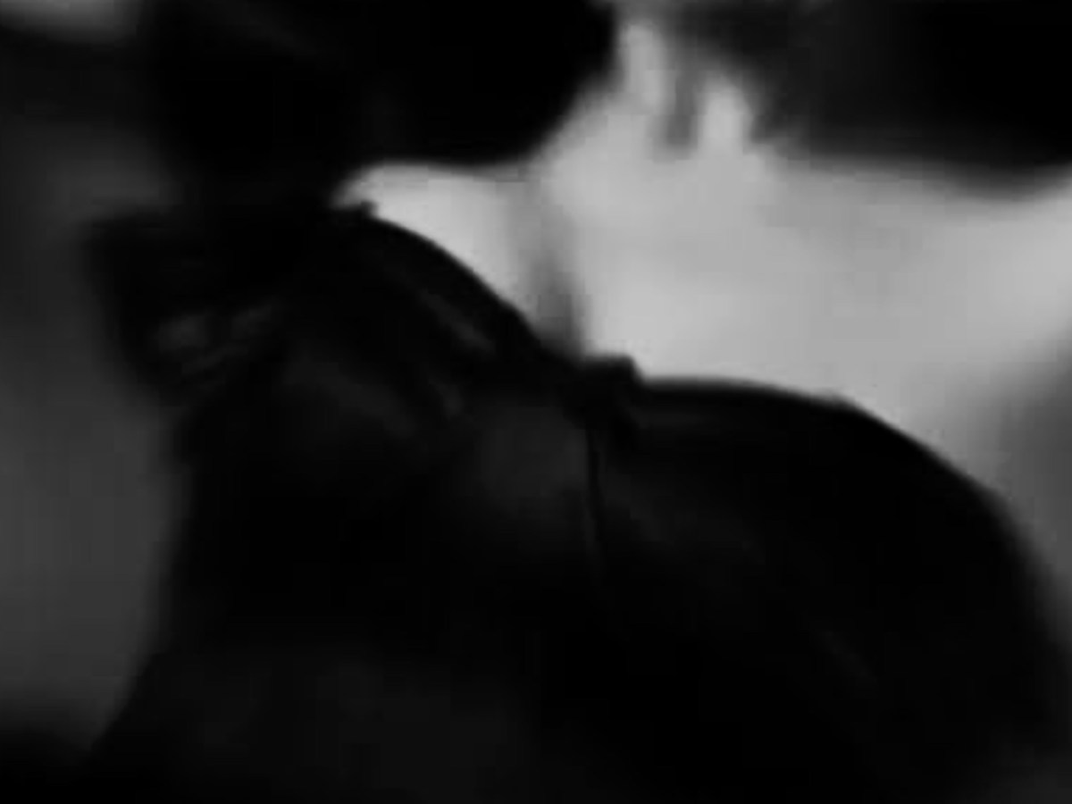 Whispers of the&nbsp;Hunt